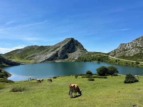 Lake Enol in Covadonga Lakes, Picos de Europa, Asturias, Spain