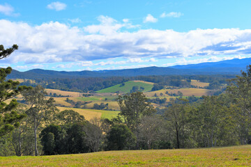 Obraz premium Rural autumn landscape with mountains and trees in Dorrigo, NSW, Australia