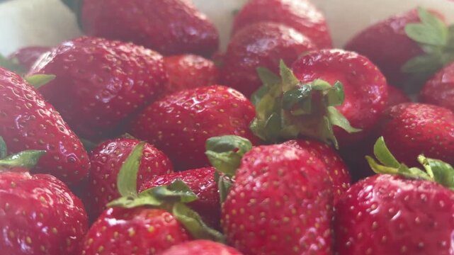 Close-up of strawberries in a sunlit haze. . High quality 4k footage