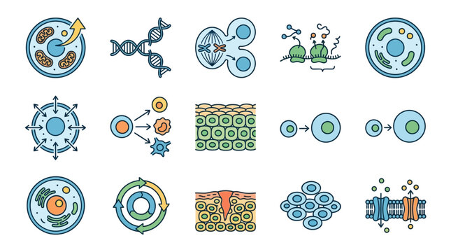 Professional Illustrated Guide to Cellular and Molecular Biology Processes with Colorful Diagrams