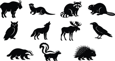 Wild Animal Silhouette Collection with Forest Mammals Birds and Woodland Wildlife Vector Set © MDIbrahim