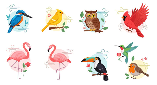 A collection of colorful wild birds in a flat vector style