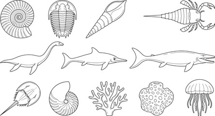Marine Life and Fossil Line Icons Set with Ancient Sea Creatures and Ocean Animals © MstSelina