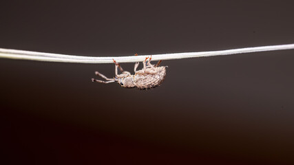 hanging clothes hanging on a rope © Bai