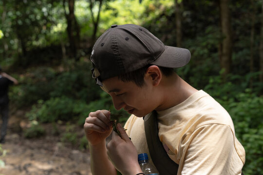 Close-up of a curious young Asian man wearing a backward cap smelling a green leaf while exploring a lush tropical forest