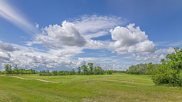 Dramatic Cumulus Clouds Over a Prairie Landscape Under a Blue Summer Sky