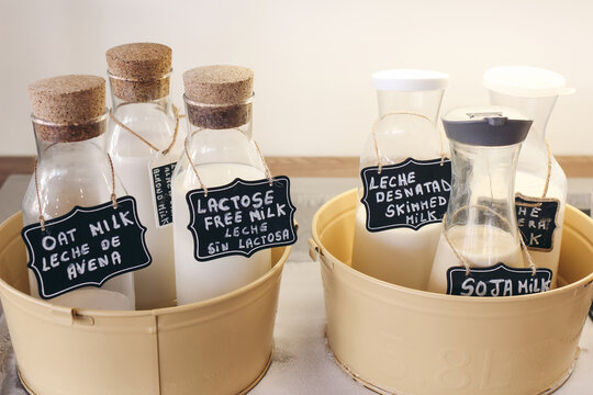 Assorted Plant Based, Dairy Milk Bottles in Glass Containers with Chalk Labels. Oat, Almond, Soy, Lactose Free and Skimmed Milk Display. Healthy Dairy Drink Alternatives, Breakfast Beverage Selection