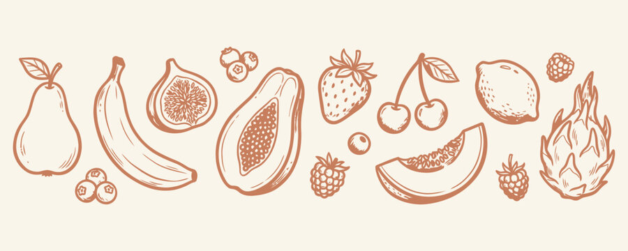 Set of various hand drawn fruits, including pear, banana, fig, papaya, strawberry, cherry, lemon, melon, raspberry, dragon fruit and blueberries, vector illustration