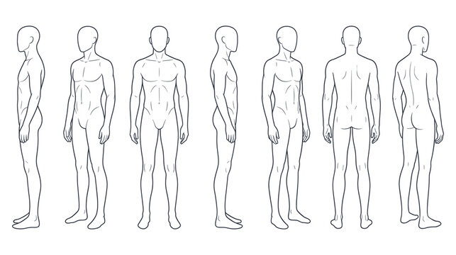 Set of male anatomy figure outlines from multiple angles.