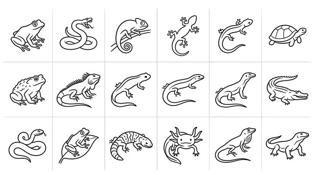 Collection of various cute reptile and amphibian line art icons including frogs, snakes, lizards, turtles, chameleons, and crocodiles isolated on white background for coloring books
