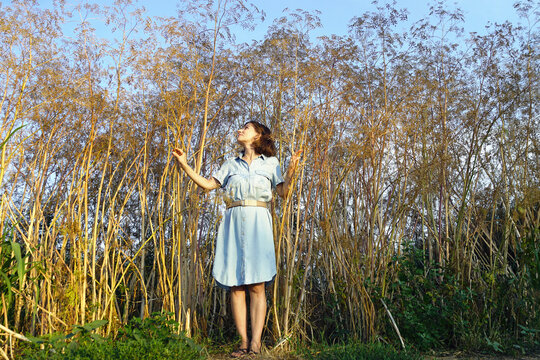 Woman standing among tall poison hemlock plants while examining dry flowering stems. Depicts wild flora identification, outdoor environmental education, and human scale within unmanaged vegetation.