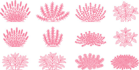 Hand drawn pink aromatic herbs and culinary plants vector set in outline style © Mahsina