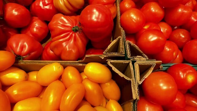 Boxed Red and Yellow Tomatoes at Store