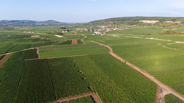 Drone view over Burgundy wine region vineyards in France, revealing an intricate patchwork of vineyards, farm roads, and rolling countryside.