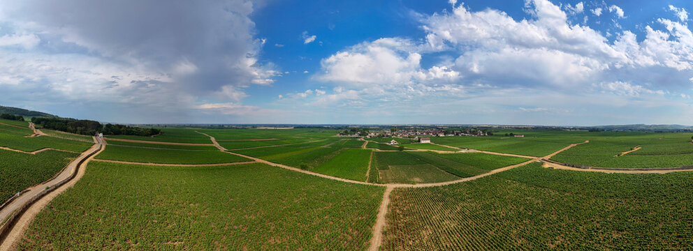 Drone view over Burgundy wine region vineyards in France, revealing rolling vine-covered landscapes, intersecting farm roads, and historic winegrowing terrain.