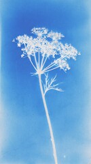 Obraz premium Blue and white floral silhouette, artistic style, perfect for mobile wallpaper.