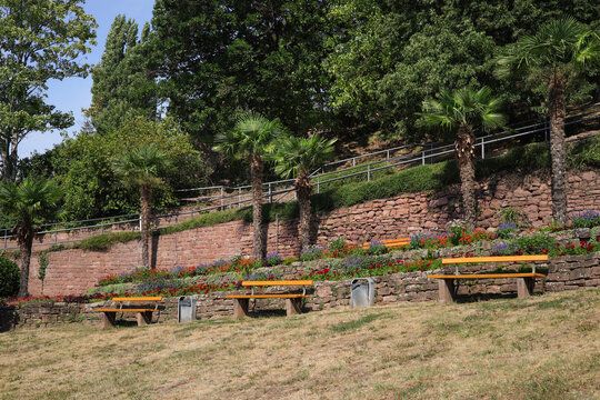 A small garden with benches along the Philosophenweg in Heidelberg in summer. Baden-W&uuml;rttemberg, Germany.