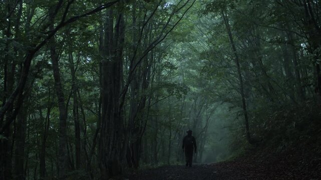 霧に包まれた深い森を歩く登山者 シネマティックな森林風景