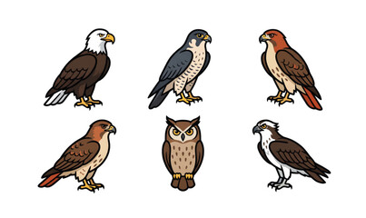 Naklejka premium Collection of Various Birds of Prey and Owls.