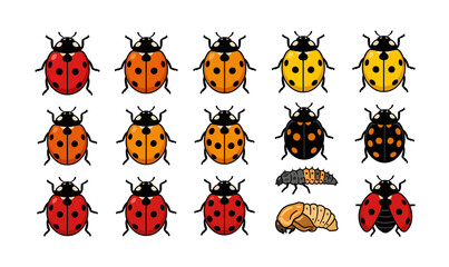 Naklejka premium Collection of colorful Ladybugs and Bee in Detailed Illustration.