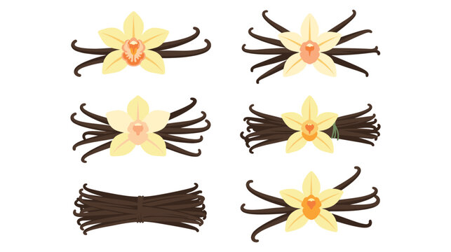 Vanilla bean pods and orchid flowers decorative elements.
