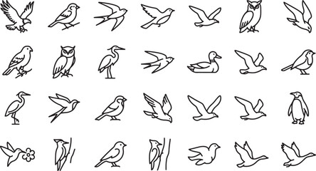 Obraz premium Set of various bird species icons in simple black outline style for wildlife and nature design projects