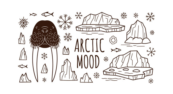 Arctic mood vector set featuring walrus, icebergs, and snowflakes in minimalist line art style.