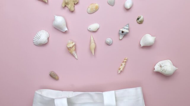 Seashells scattered on pastel pink background with white bag