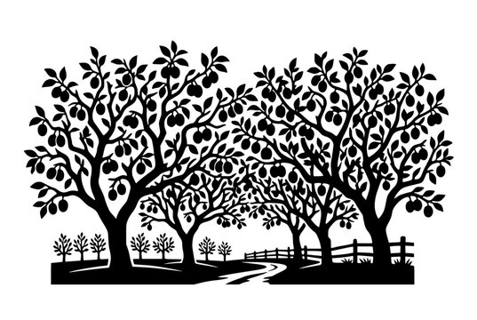 Fruit Tree Orchard Silhouette Vector Illustration