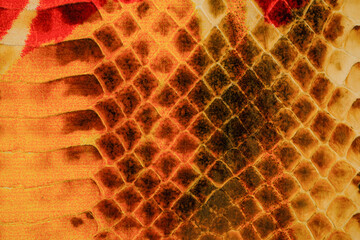 Glossy python leather texture with warm orange reptile scale pattern for exotic fashion background © reddish