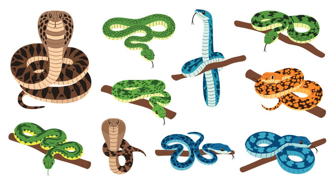 Various cartoon snakes including cobras and vipers crawling and resting on branches over a white background.