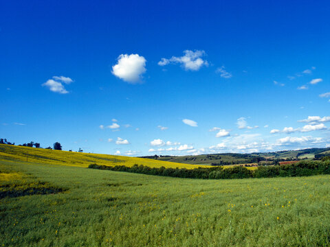 England, Bucks, Chilterns, Turville Hill, open countryside and windmill