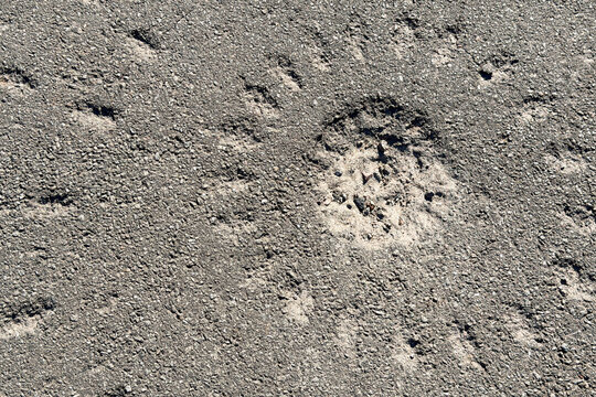 Artillery shell impact crater on damaged rough road background
