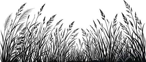 Obraz premium Black and white hand drawn sketch of wild grass meadow field with tall stems and wheat ears for rustic nature design element illustration