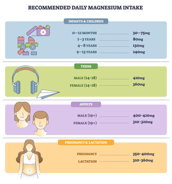 Recommended daily magnesium intake diagram summarizes age and gender needs, key objects, age labels, mg numbers, human icons, transparent background