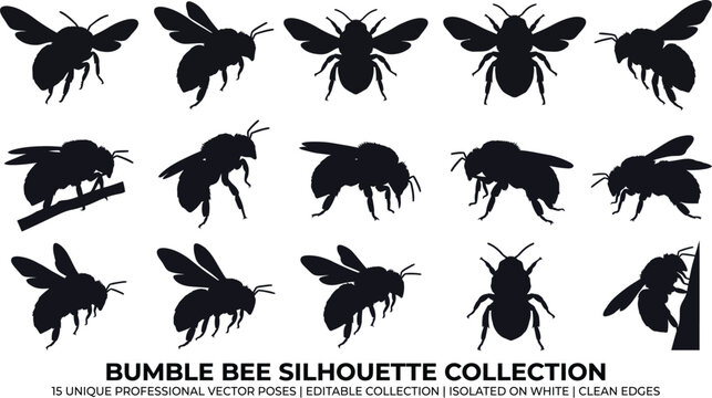 Bumble bee silhouette set against a white background vector illustration of buzzing insects