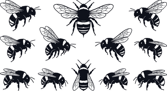 Bumble bee silhouettes vector set on a white background buzzing insects and nature illustration