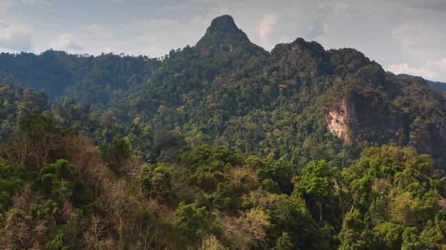 Khao Sok National Park dramatic limestone karsts and an expansive tropical rainforest canopy, the natural beauty of southern Thailand's protected wilderness. Jungle mountains aerial view landscape