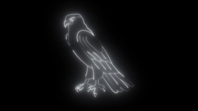 Glowing neon falcon bird outline on black background