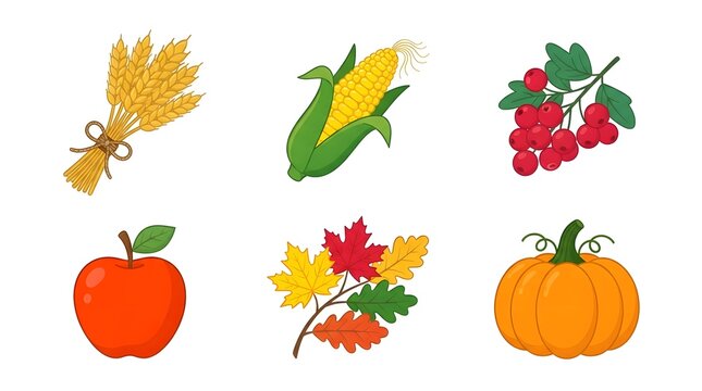 Festive thanksgiving background elements corn pumpkin wheat fall harvest illustrations