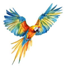 Flying Macaw, watercolor painting, vector illustration, isolated on a white background. © Andrews