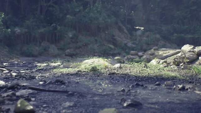 Low riverbed with sunlit meadow grass, exposed gravel bars and scattered stones, green floodplain patches with riparian vegetation, gentle flow channel, field