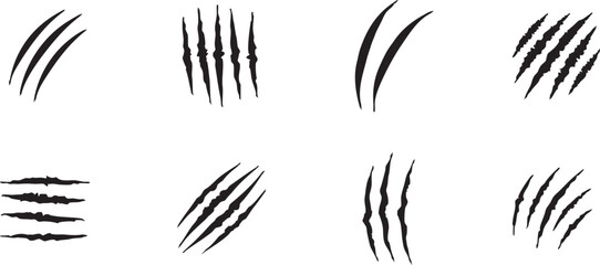 Obraz premium Set of scratch claws of an animal. Animal's claws scratch and scrape a track. Hole in a sheet of paper with torn edges. Vector illustration. Isolated on a white background. 