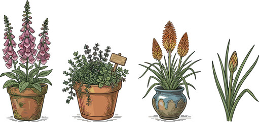 Potted garden flowers and herbs sketch vector icon set. © Jhuma Begum
