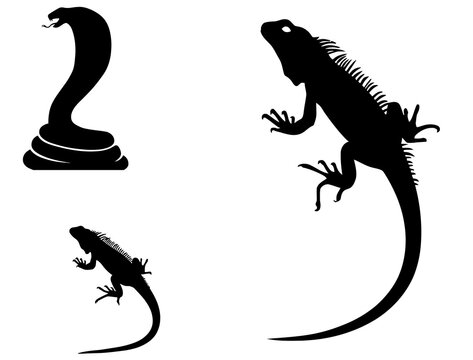 Black silhouette graphics of iguana lizards and a snake
