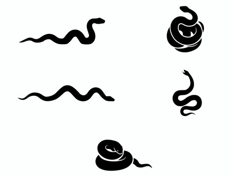 Set of five black snake silhouettes in various poses