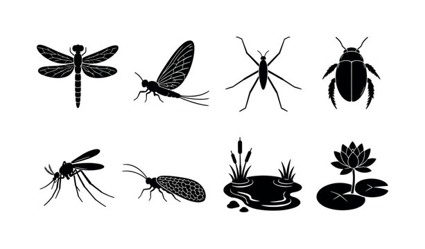 Aquatic Insects. Filled icon set of Aquatic Insects: dragonfly, mayfly, water strider, diving beetle, mosquito, caddisfly, pond, water lily. Solid icons set. All icons in only black color. All icons