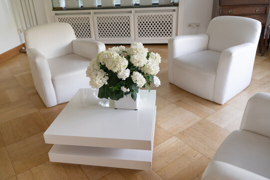 Modern white living room with armchairs, coffee table and white hydrangea flowers in bright interior