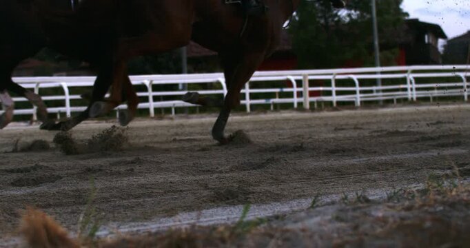 Slow Motion Close-Up of Racehorse Legs Galloping on Dirt Racetrack Low-angle close-up of racehorse legs and hooves striking the dirt track and throwing soil into the air during a fast gallop.