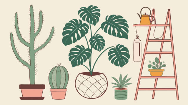 Set of various potted houseplants and decorative ladder display with houseplants